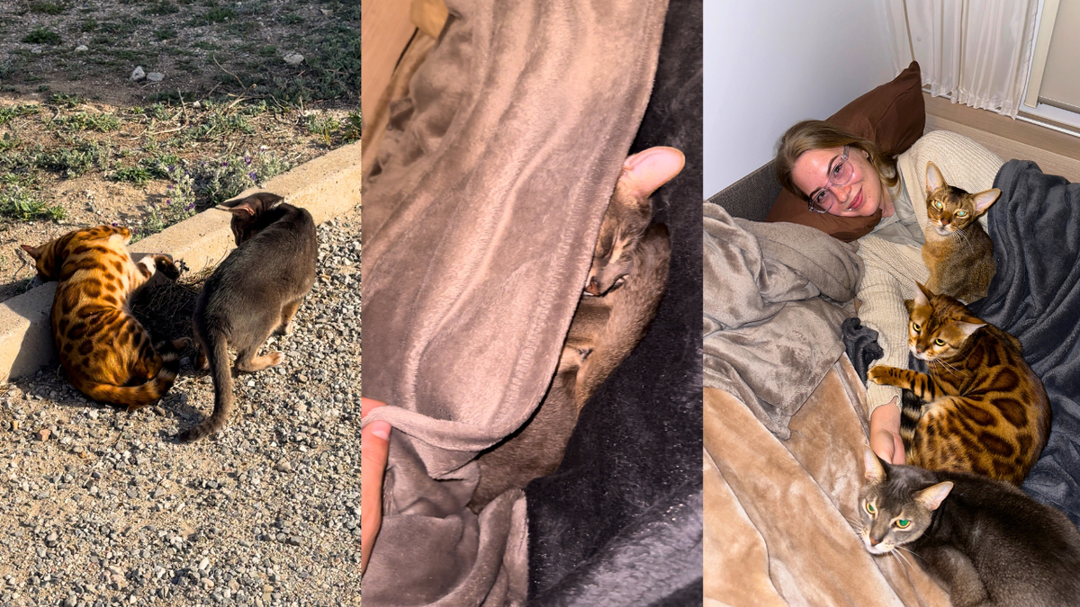 Поваляться на улице и залезть ко мне под одеялко - это база.