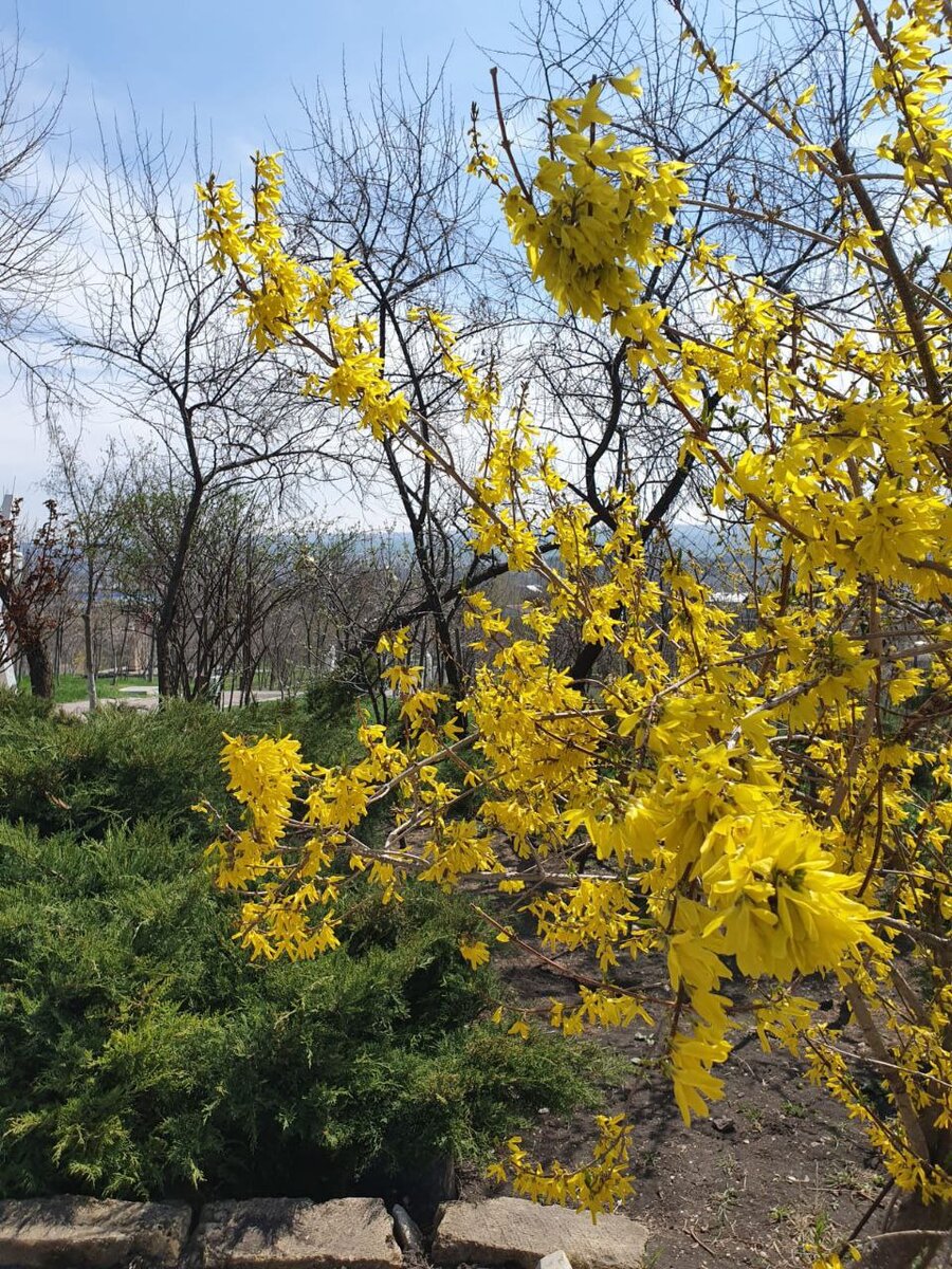 фото из личного архива