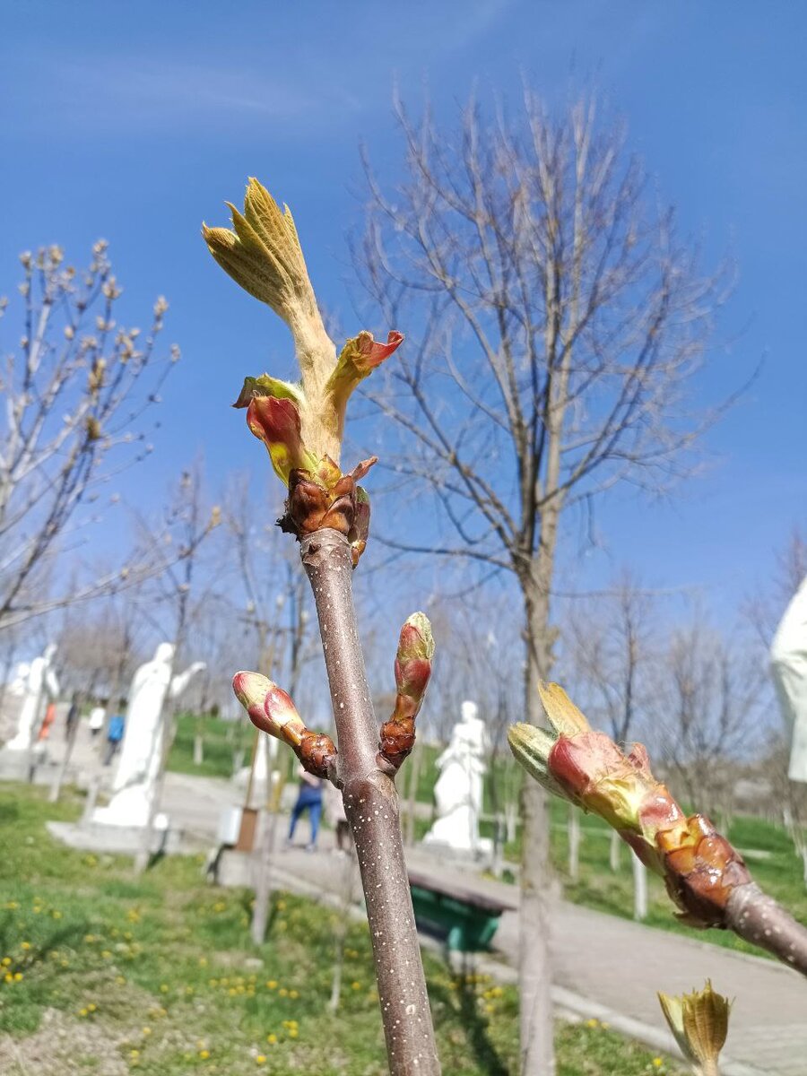 фото из личного архива