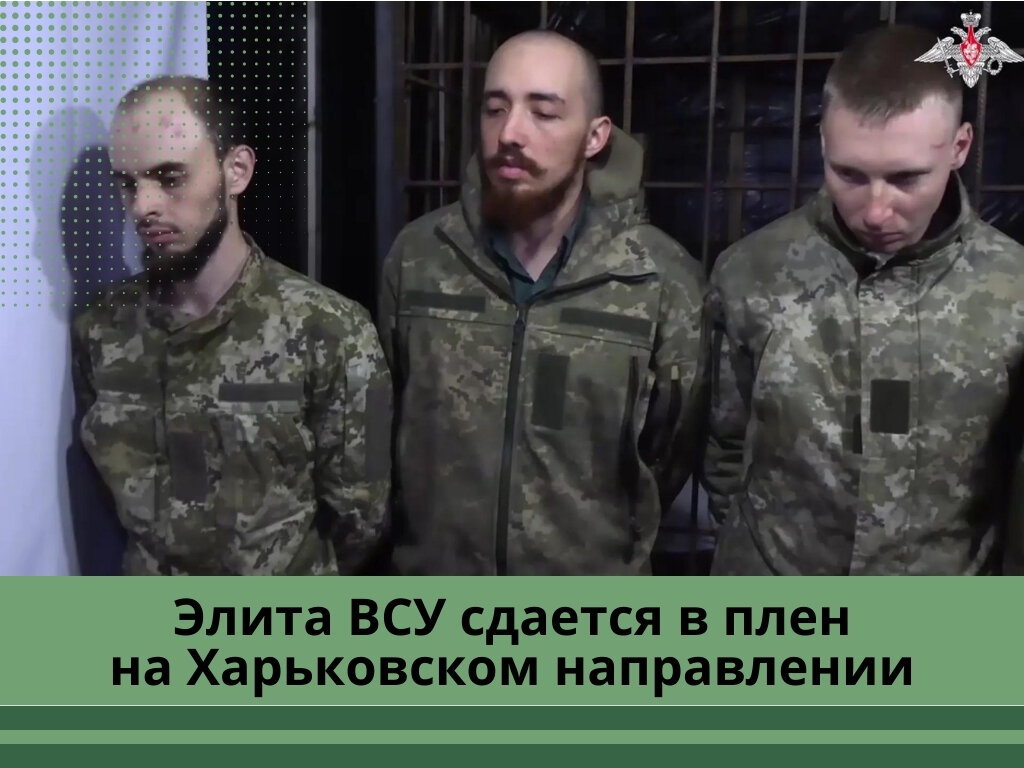 Фото: 360.ru