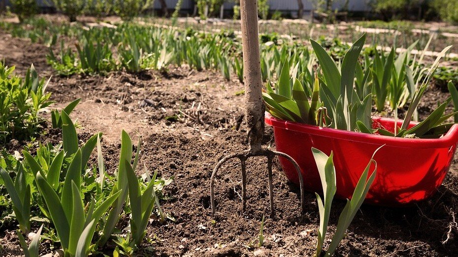 ShutterStock/Fotodom.ru 