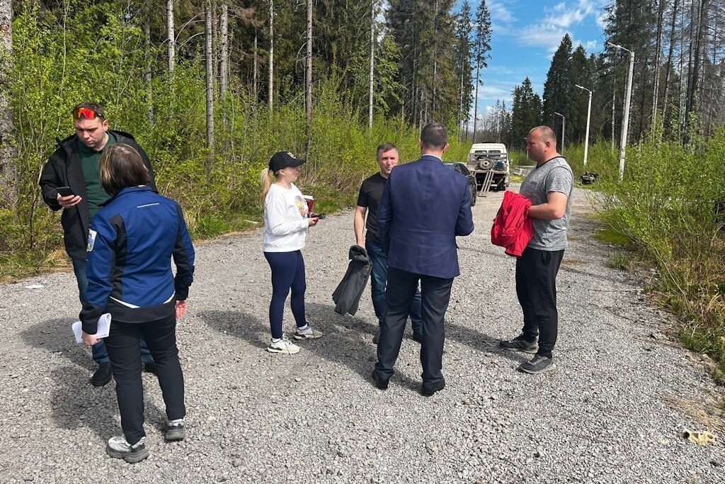    Примерно 20% деревьев на территории нуждается в выборочной санитарной рубке.