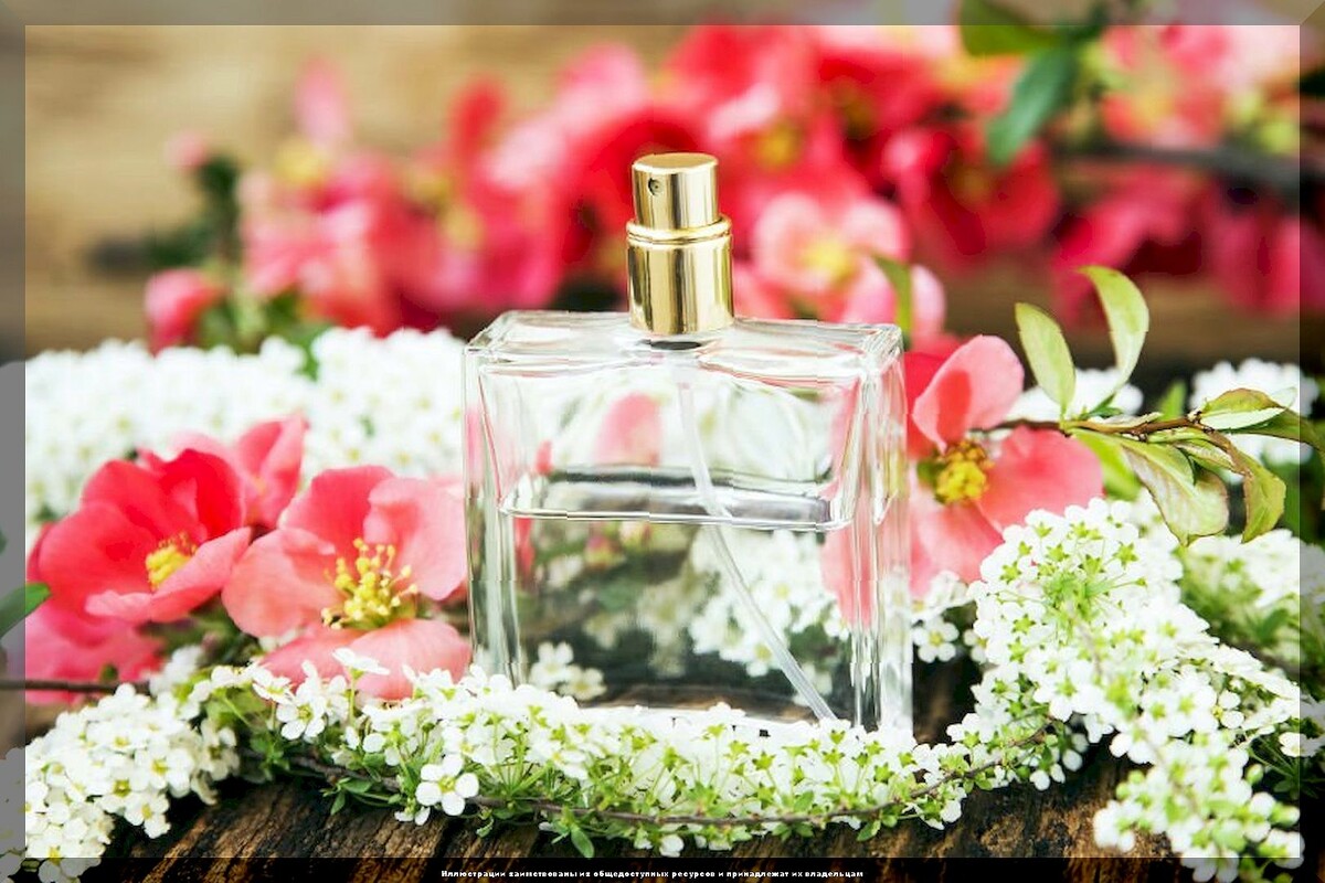 Цветочные ароматы. Mon guerlain bloom of rose eau de parfum. Парфюм фрагранс. Парфюмерная вода maison francis kurkdjian a la rose. Цветочный запах духов.