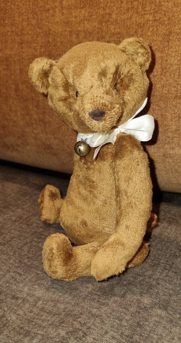 Перед отправкой к маленькой хозяйке