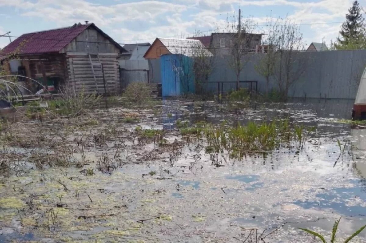    Жители СНТ под Челябинском бьют тревогу из-за затопления своих участков