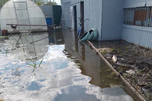    Фото: Из личного архива