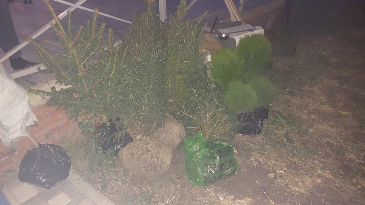 Покупки доставили на дом и выгрузили ночью.