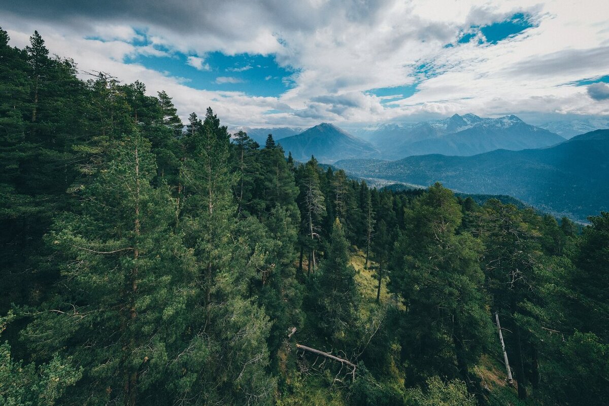 В Архызе осадки, как правило, выпадают в мае. Фото: Artyom Panfilov / Unsplash