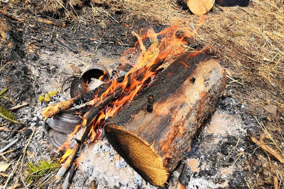    Подростки из Красноярского края исправились после шоковой терапии Ася ЖУКОВА