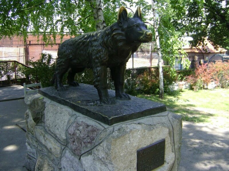 Памятник Габи в зоопарке Белграда