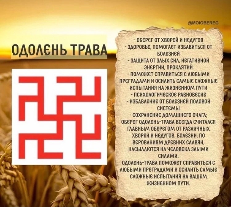 Купить славянский оберег Одолень трава оптом - компания Кудесы Кудесы старый сай