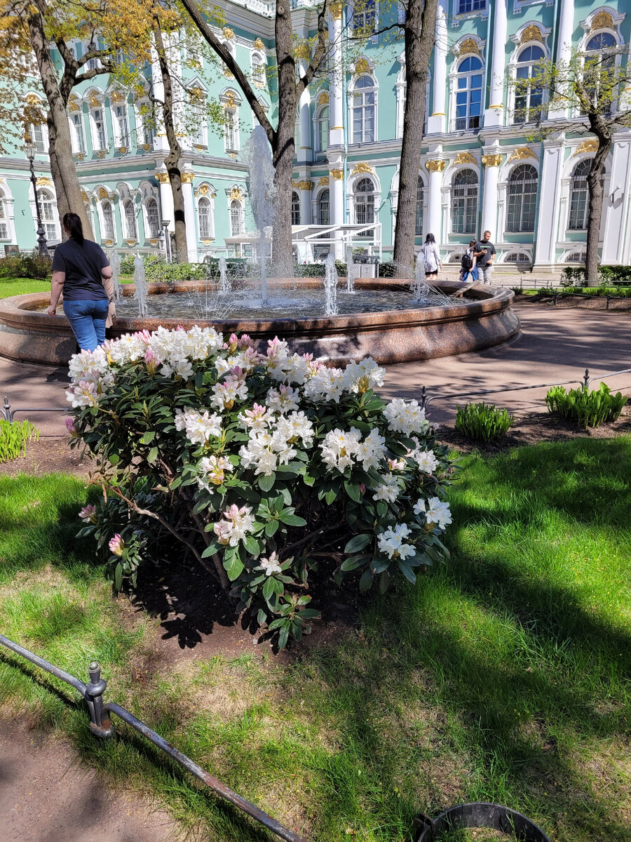 2. Во внутреннем дворе Эрмитажа