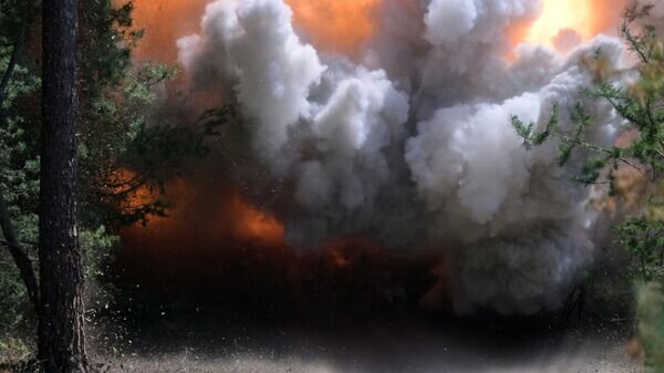    © РИА Новости . Евгений Биятов