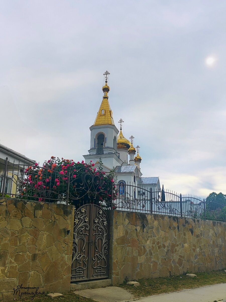 #розы #вКоктебеле #гдеКатябыла #Крым #утолимояпечали