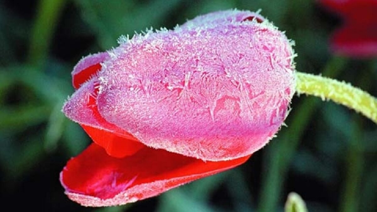 Майское утро. Фото из открытых источников