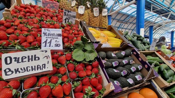    © Sputnik / Александр Жибуль