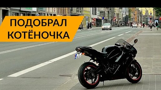 Подобрал на помойке КОТЁНОЧКА. Kawasaki Ninja 600