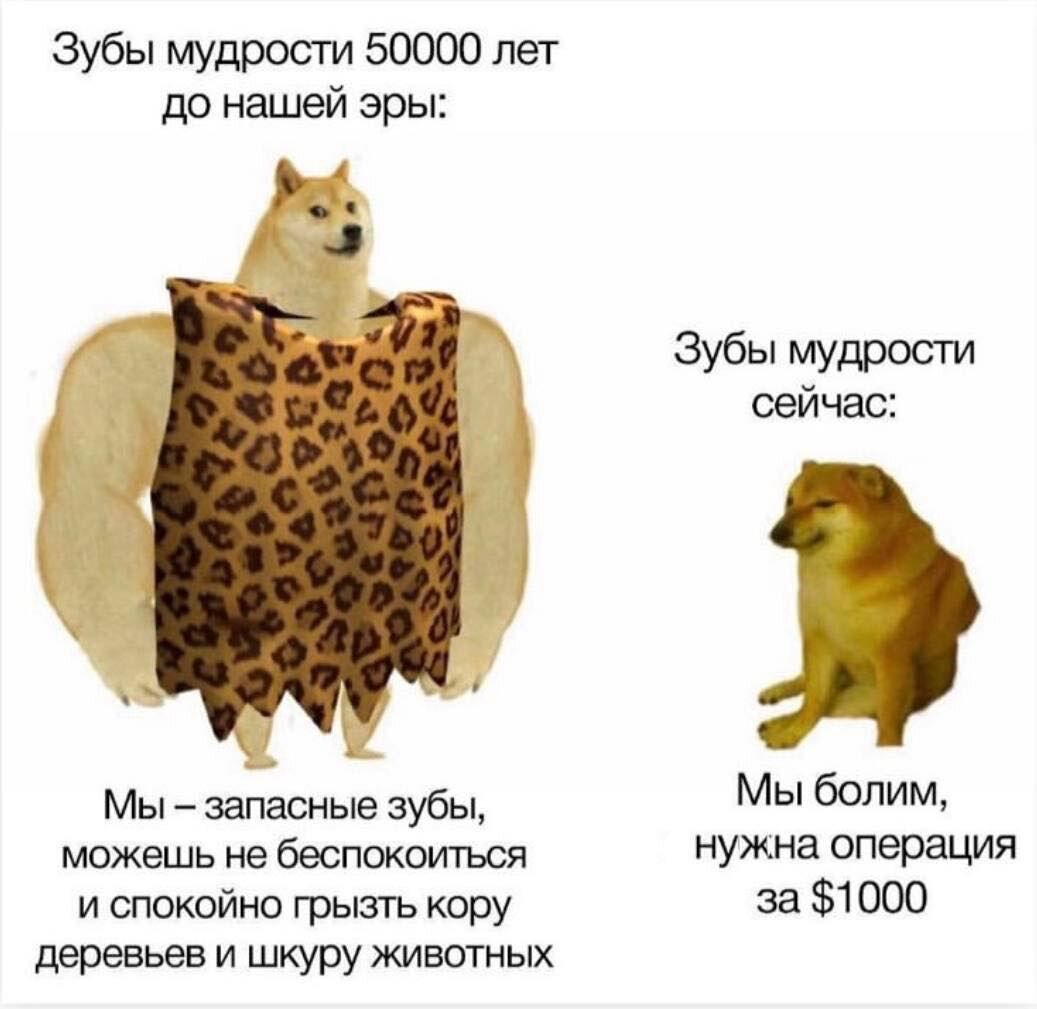 Фото: интернет