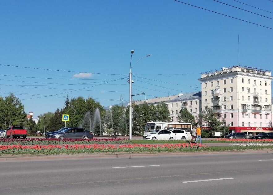 Прогулялась по центру Барнаула, цветут тюльпаны