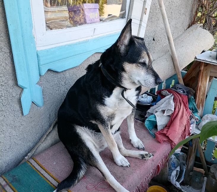 А здесь она сидит на скамейке на терраске, что-то грустная