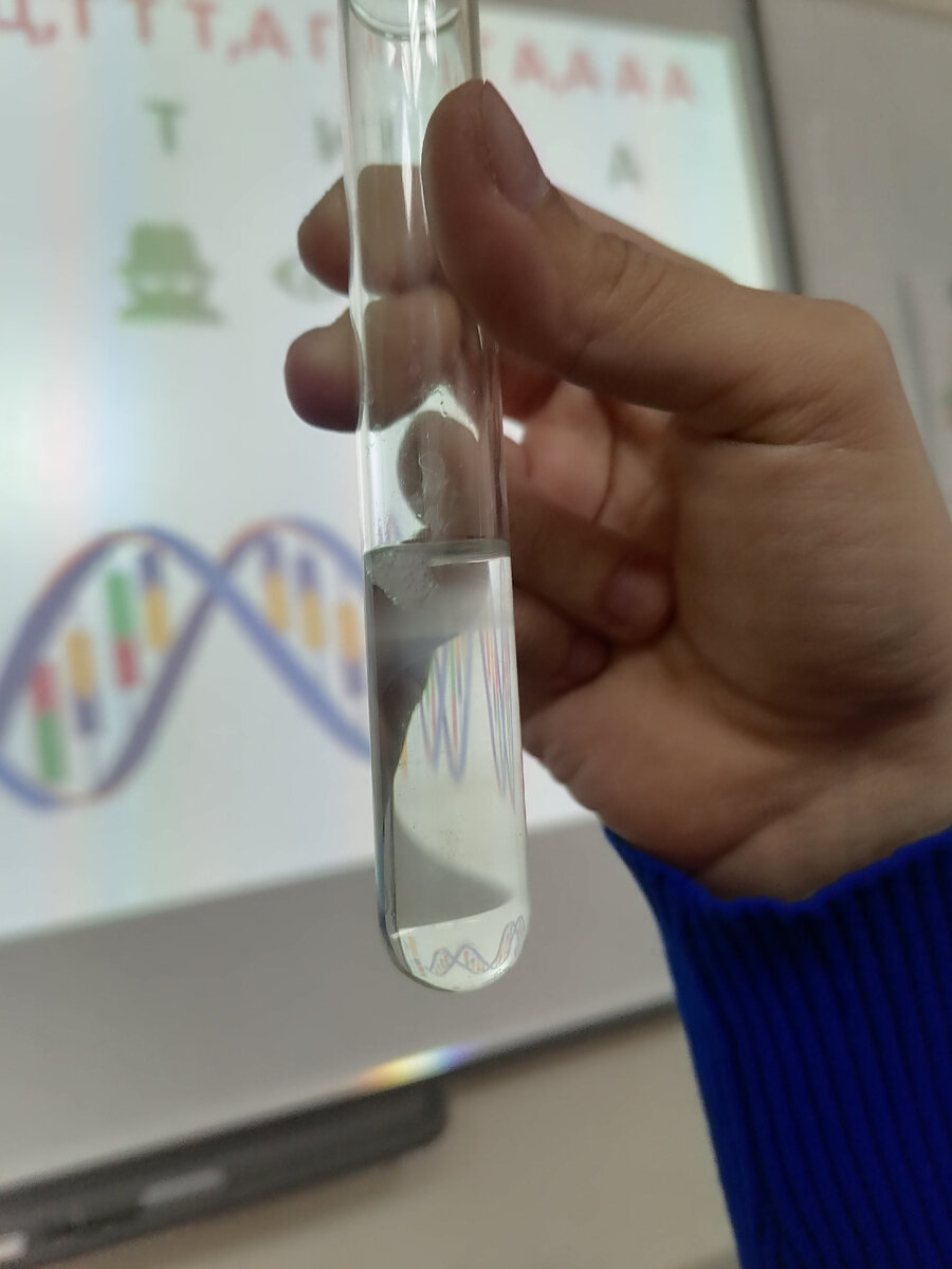 Выделили днк банана 