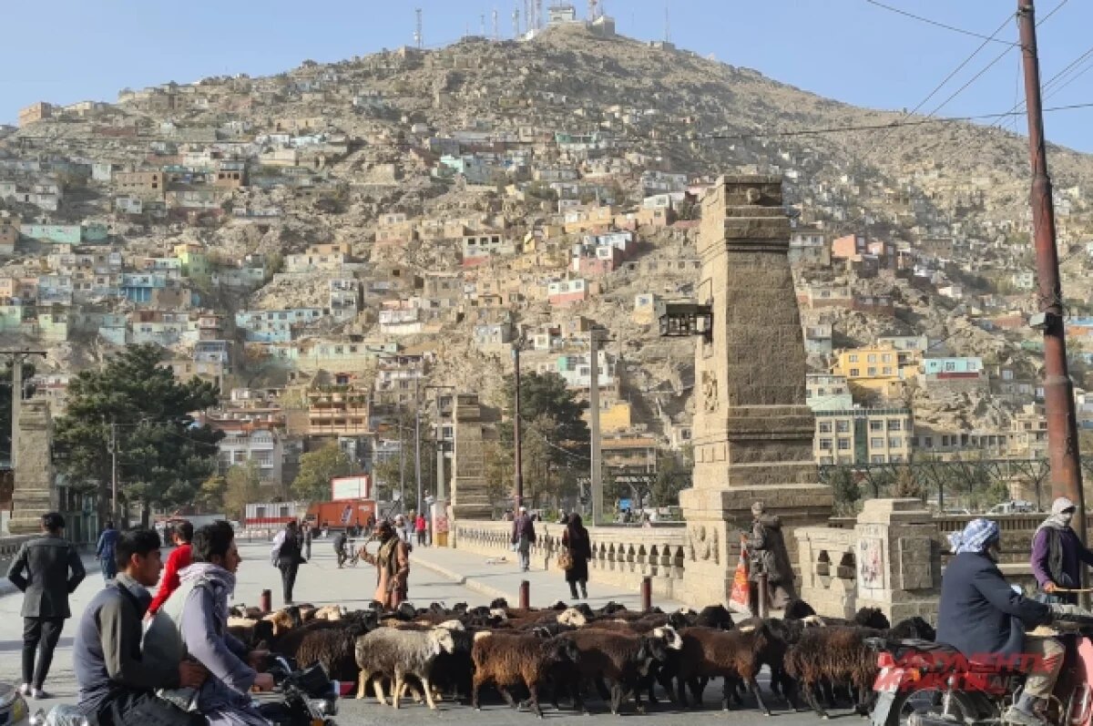    РФ будет использовать инфраструктуру и дороги Афганистана в своей логистике