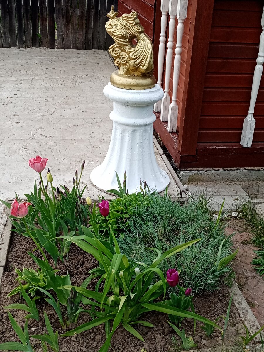 Фото из личного архива.