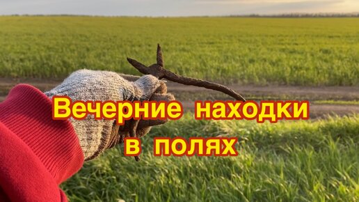 Вечерние поиски в полях. Находки, которые нам удалось добыть.