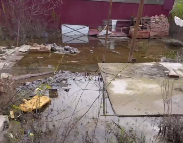    Оренбуржцы могут оформить заявление на получение помощи через портал госуслуг Кристина Просвиркина