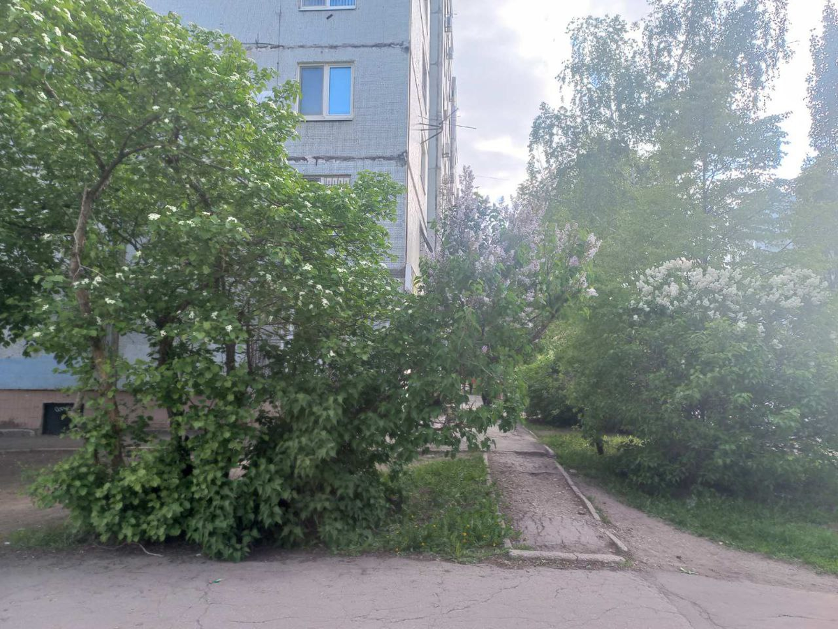 Фото автора.