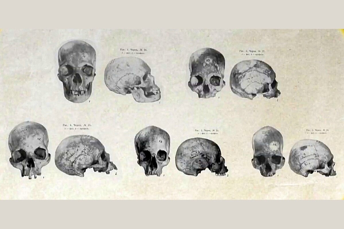    Найти потомков людей, которым принадлежали черепа, помогла новая русская экспедиция. / mikluho-maclay.org