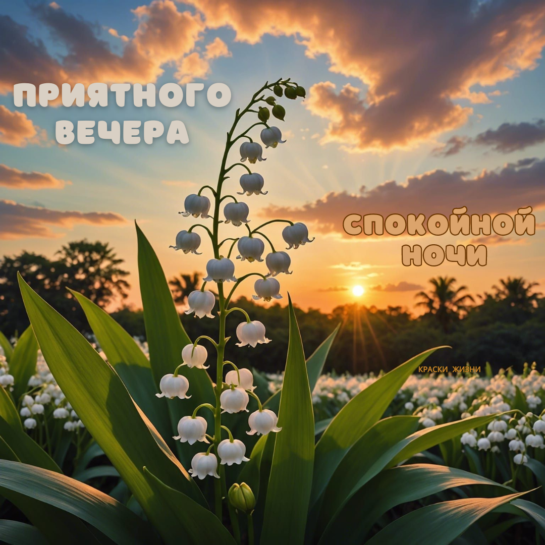 Открытки добрый вечер спокойной ночи бесплатно