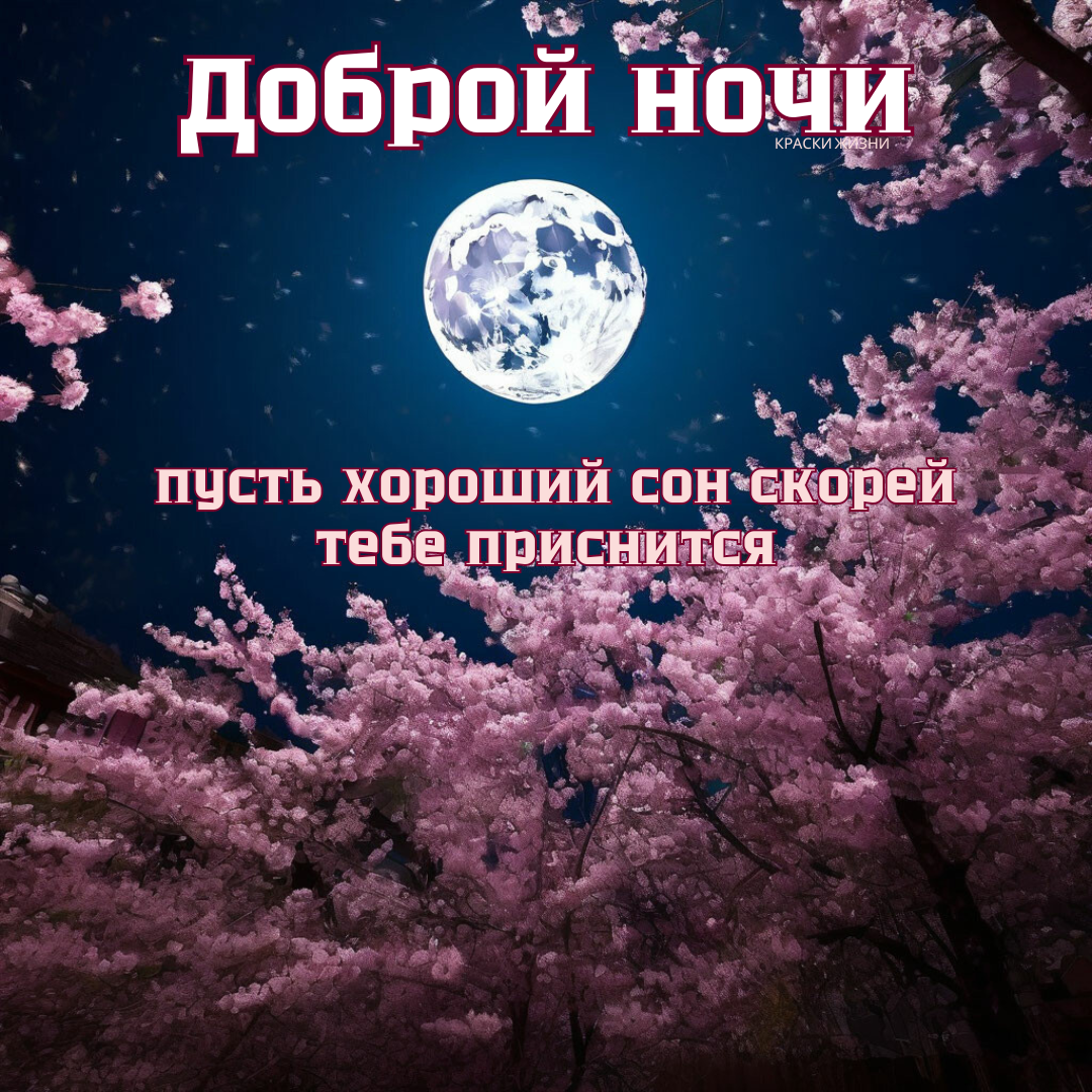 Сонник открытка