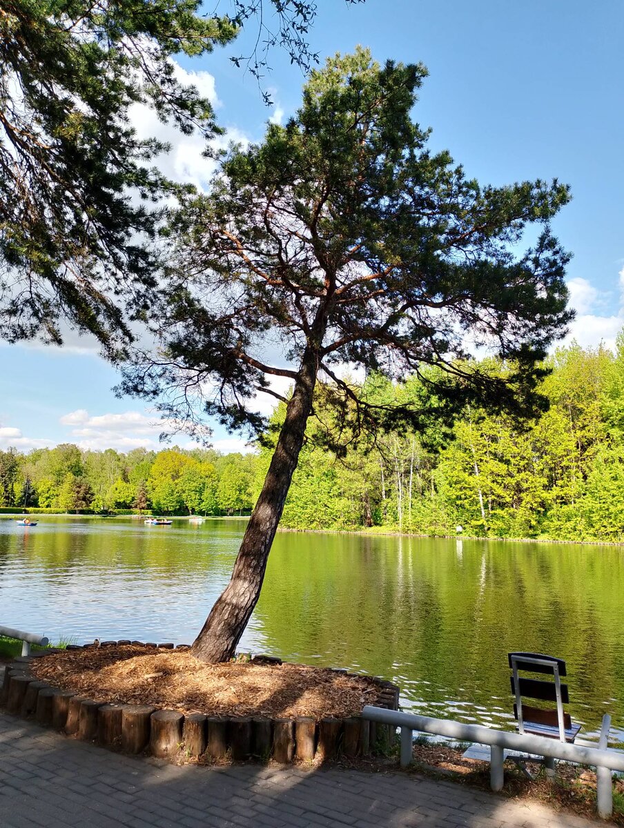 Хорошая камера у нового телефона. А в остальном картинка не относится к теме статьи :)