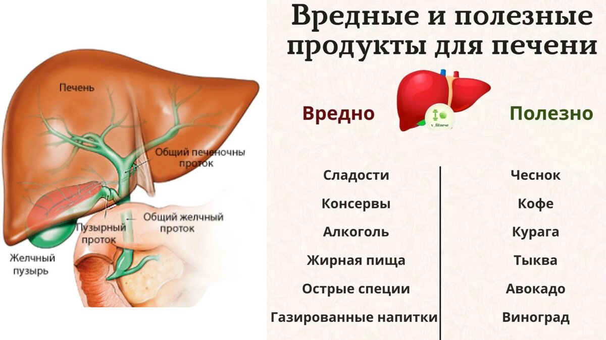 Первые признаки больной печени. Все проблемы отражены на коже в виде  пигментных пятен. Ешь эти ТОП-8 продуктов для поддержания печени | Татьяна  Шевцова | Дзен