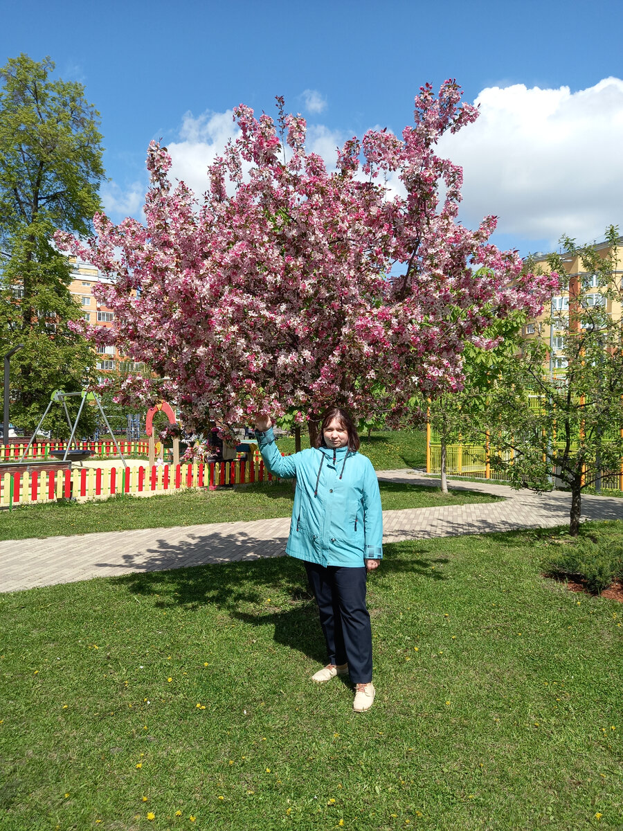 Я с яблонькой.