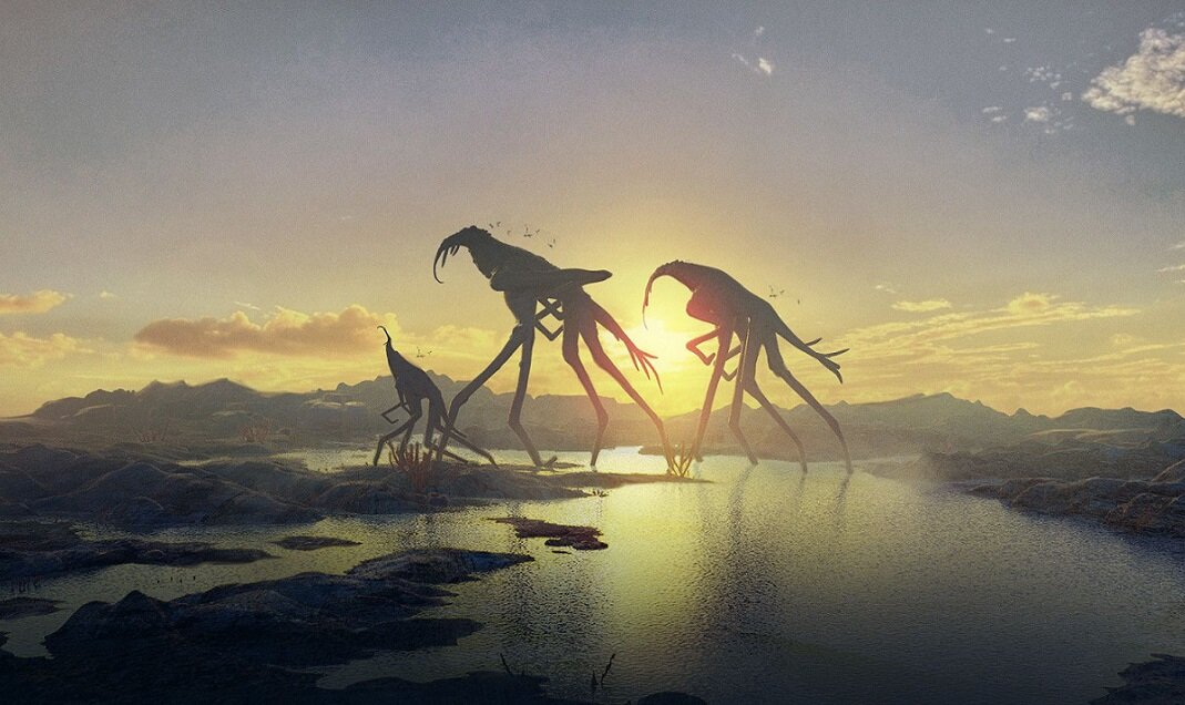    Фото из открытых источников