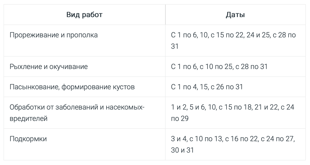 Календарь посева моркови 2024