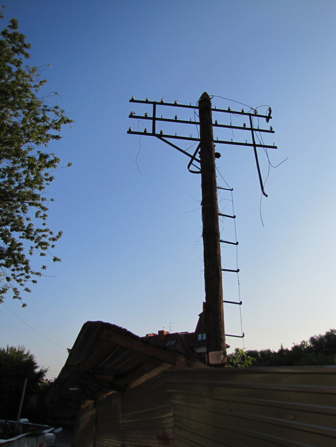 Улица Лесгафта