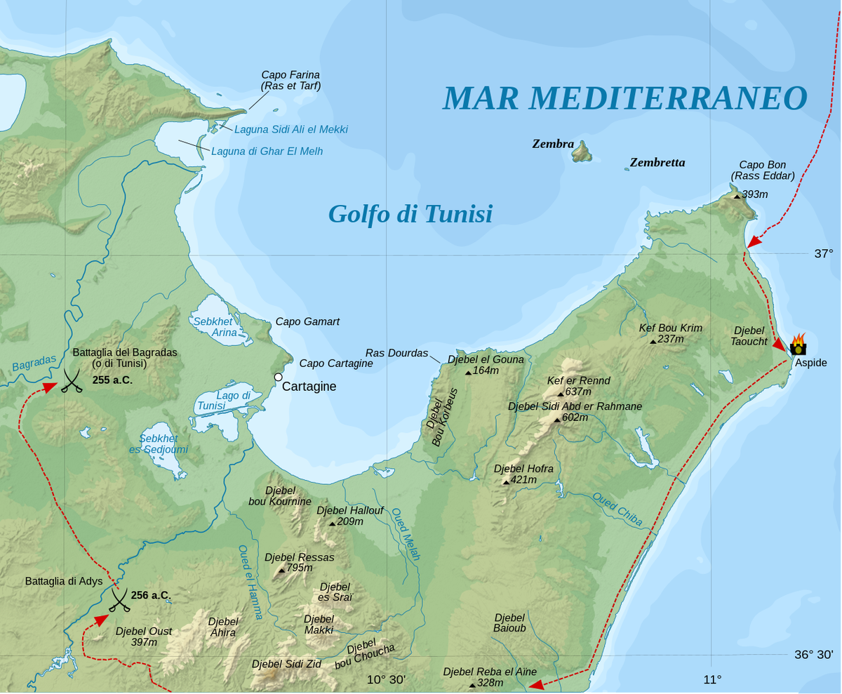 Действия Регула в Африке (256—255 годы до н. э.)