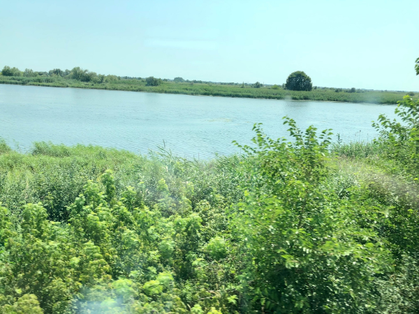 Пруды. Фото Елены Стоун