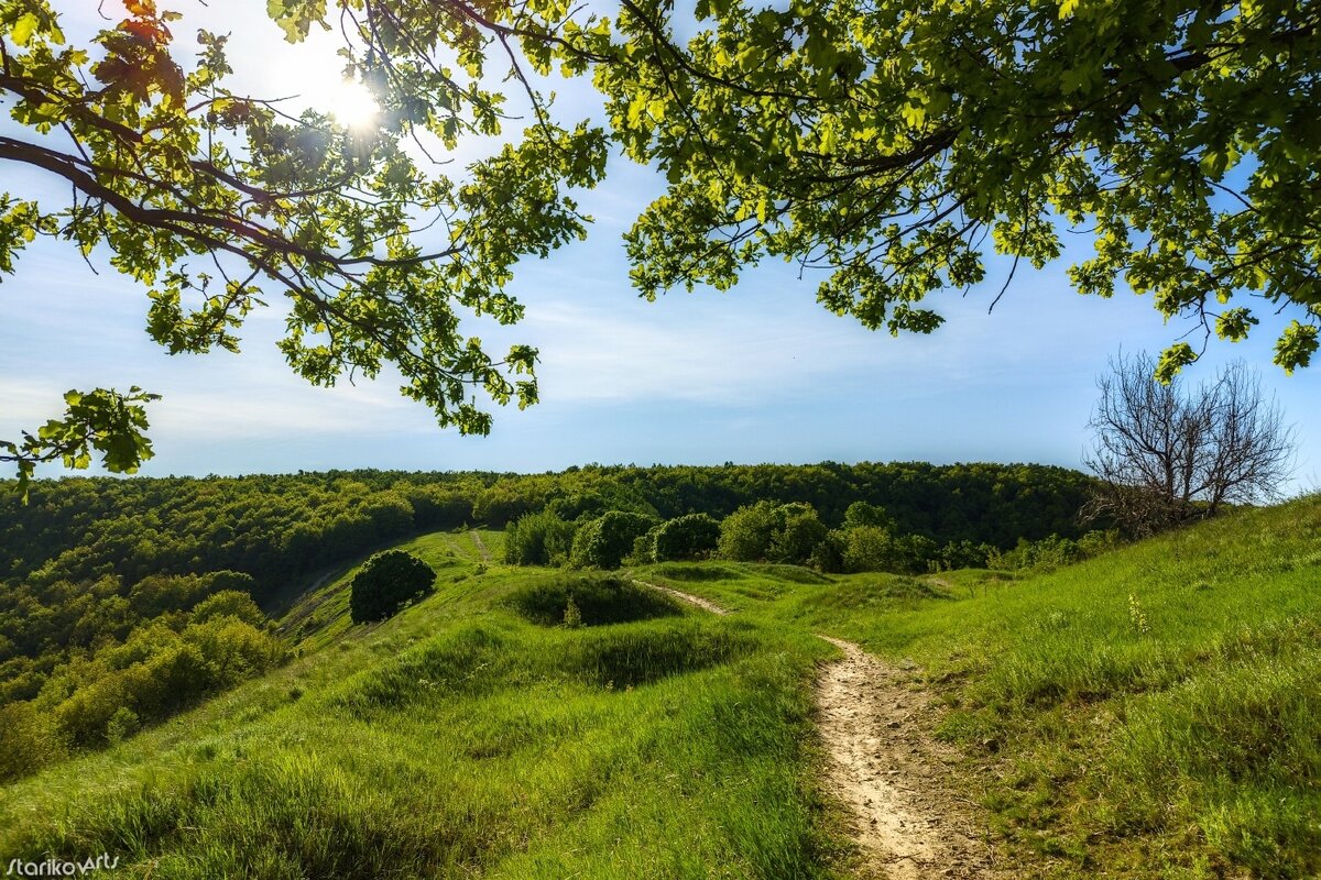 Природный парк кумысная поляна саратов фото