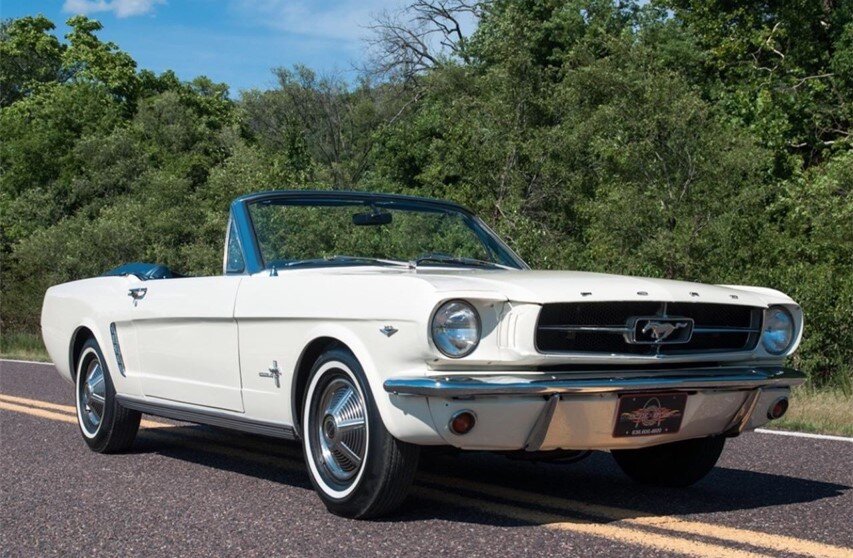 Ласточка на ходу