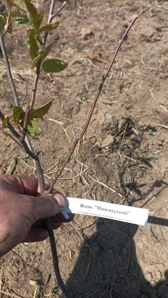    Фото: Дирекция по охране и использованию животного мира и ООПТ