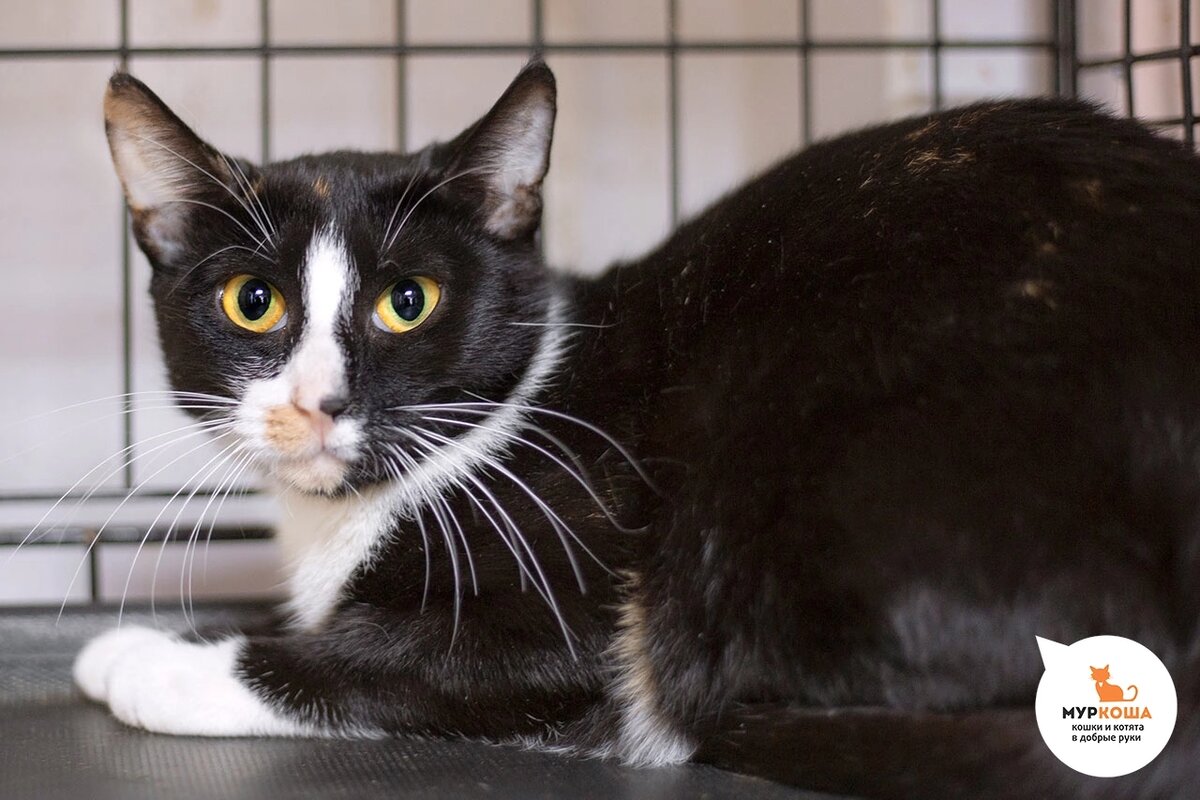 Найдена на территории завода.