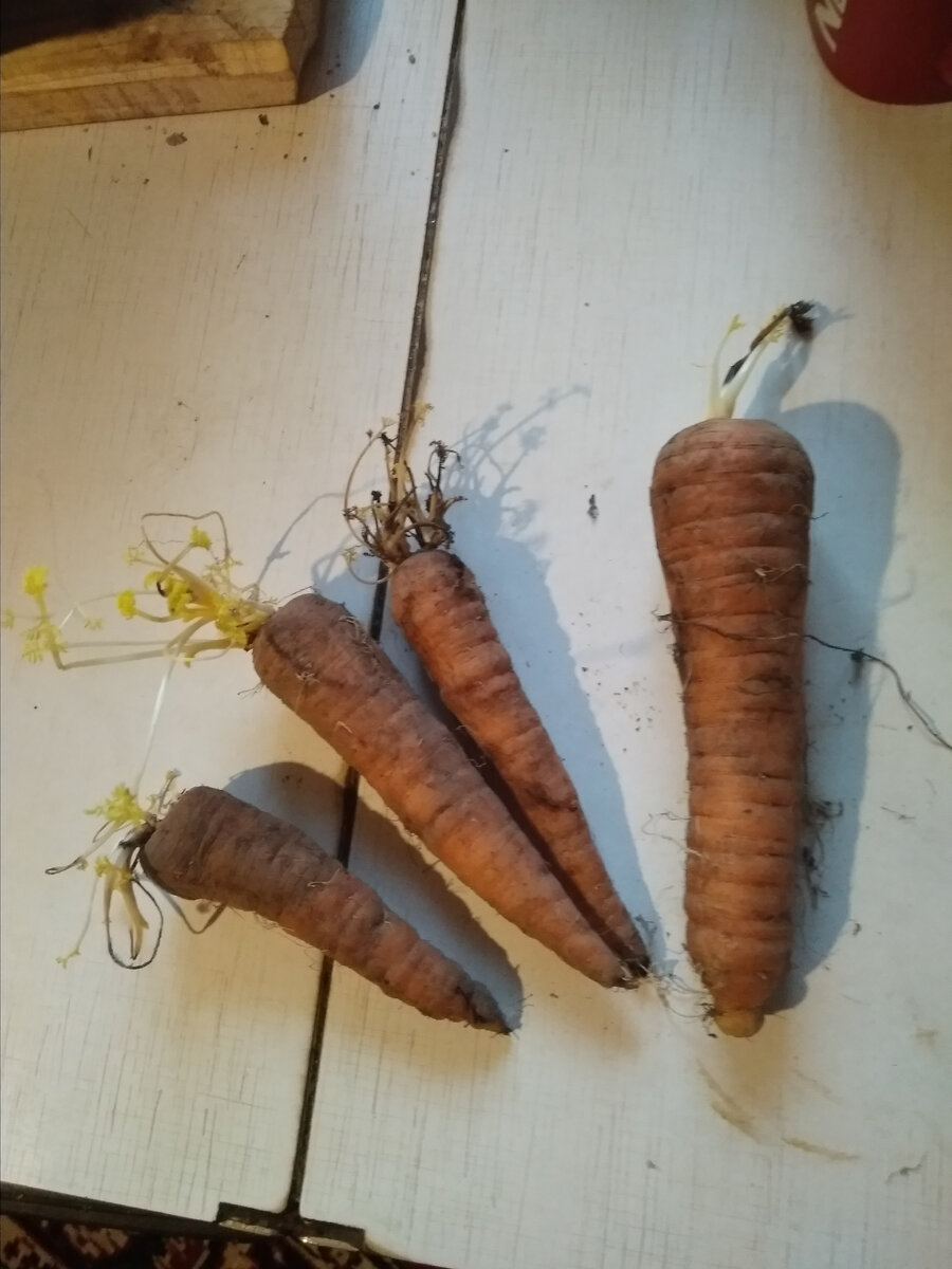 Остатки роскоши.😥