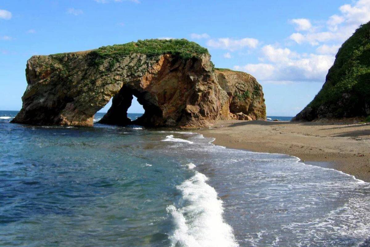 Фото из открытых источников Яндекс.Картинки