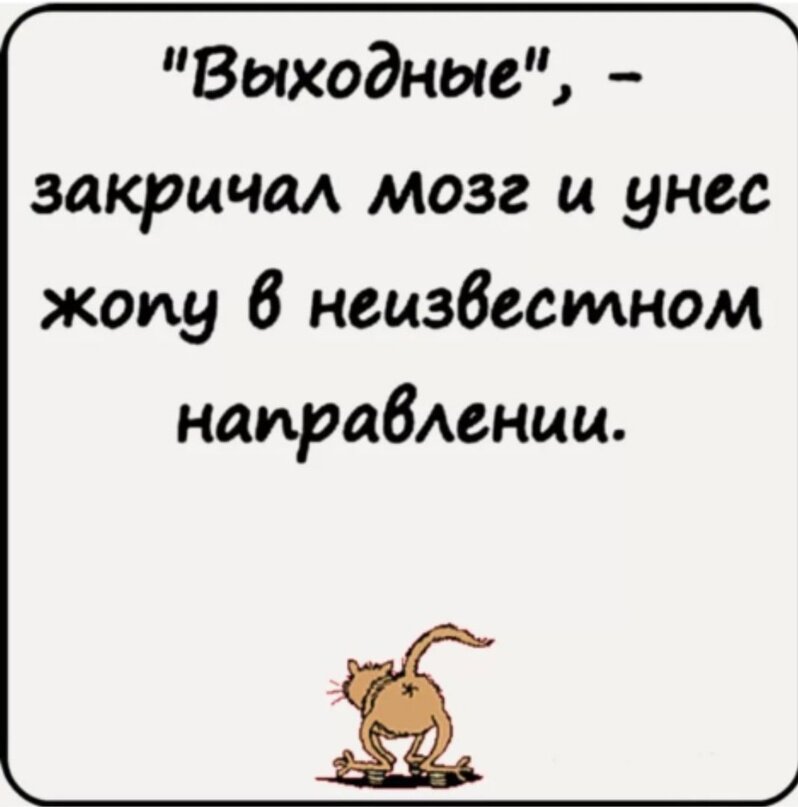 Фото из интернета. 