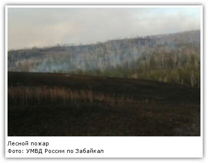 Забайкалец намеренно поджёг сухую растительность в пади, чтобы побыстрее выросла зелёная трава, и спалил 4 га леса в районе села Зерен Газимуро-Заводского района.