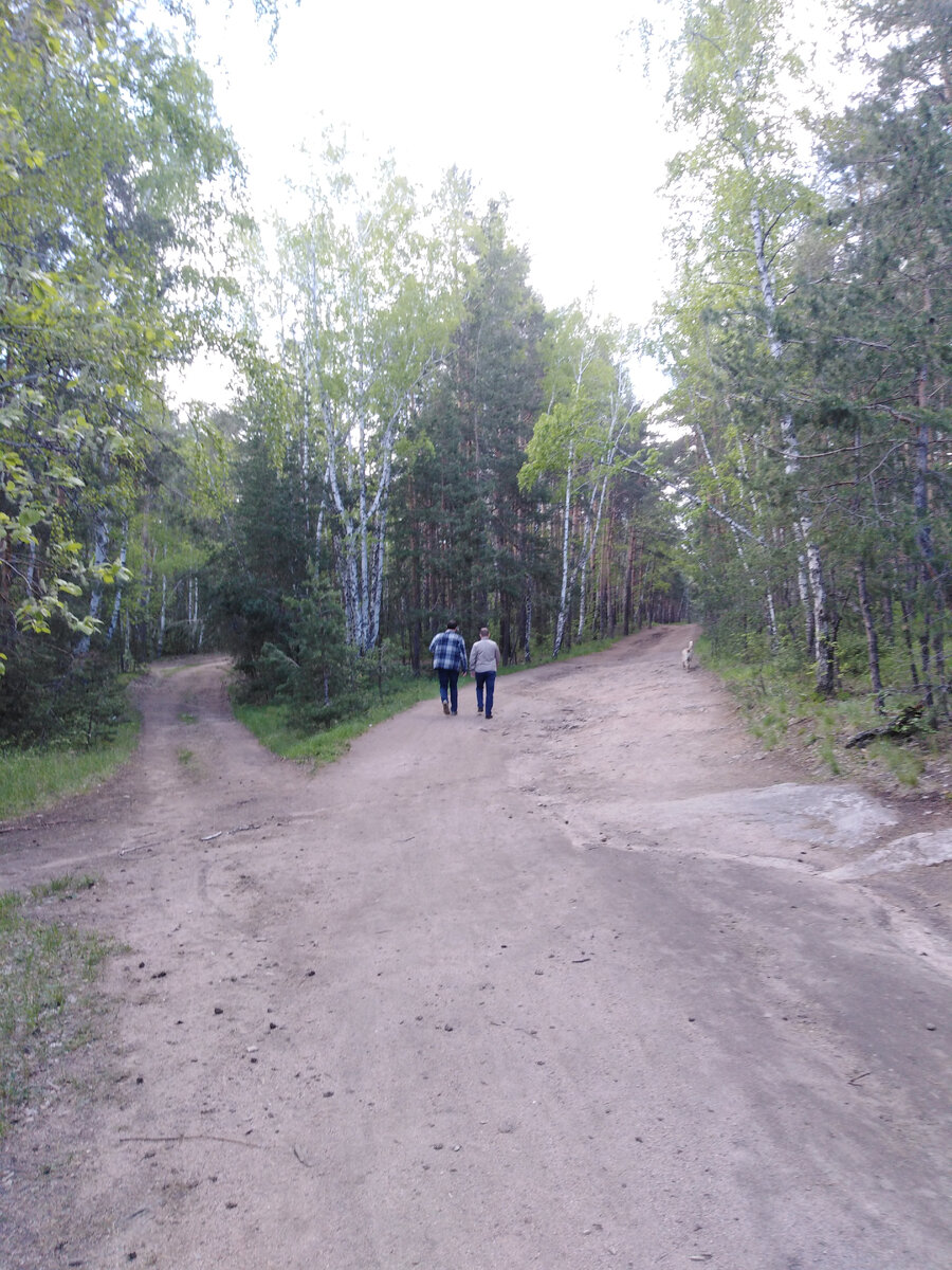 Пожарная  тропа